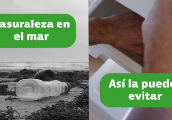 circular nº106-2024 | “Basuraleza en el mar. Así la puedes evitar”. Campaña de concienciación de AVEP en colaboración con el Ayuntamiento de Valencia y la EMT